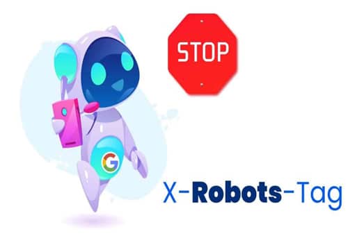 X-Robots-Tag